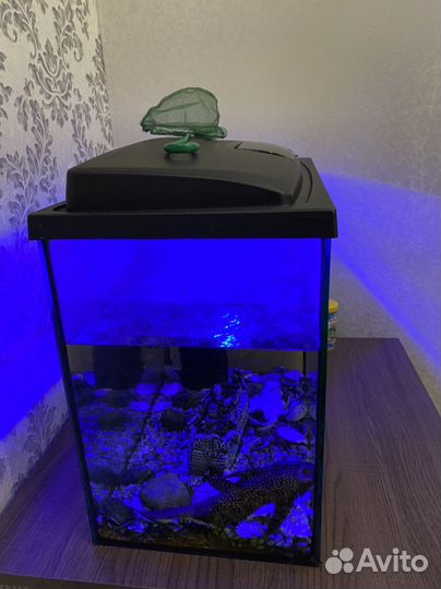 Аквариум с рыбками