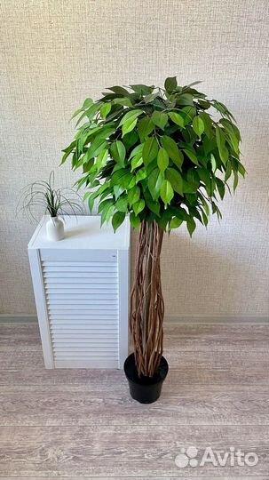 Искусственные деревья, цветы, фикус, манго