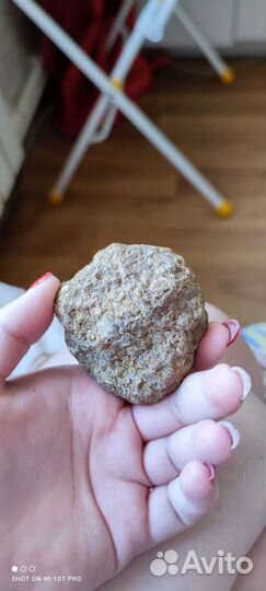 Окаменелость