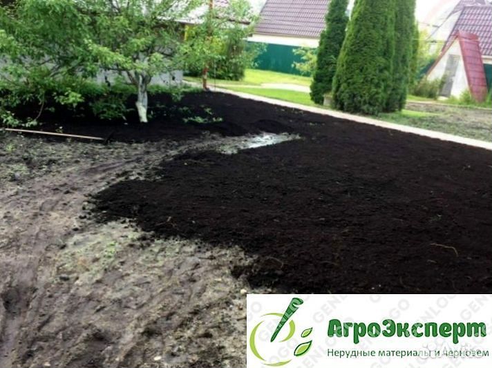 Чернозем сеянный