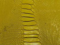Натуральная кожа с голени страуса, жёлтый цвет