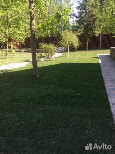 Укладка и продажа газона