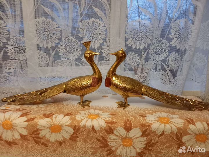 Павлины