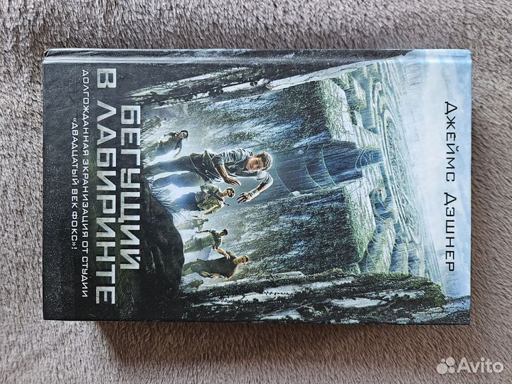 Книга Бегущий в лабиринте