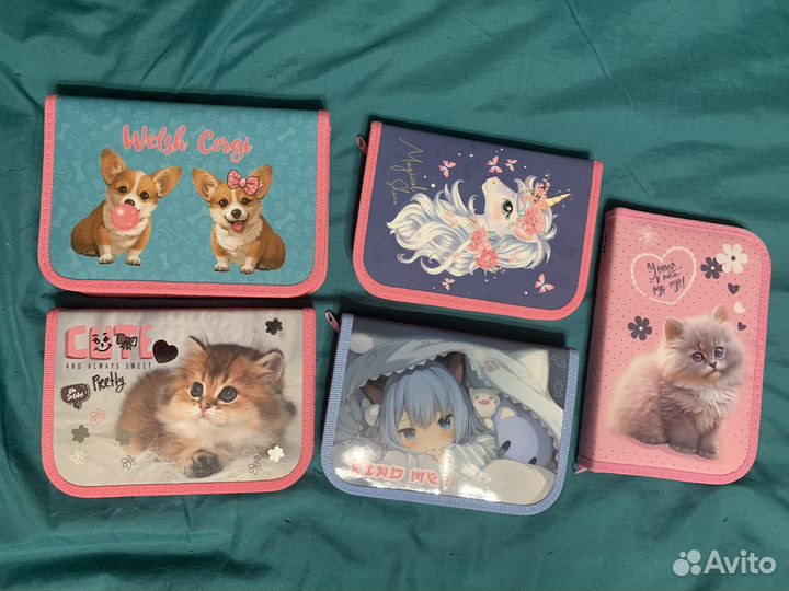 Новый пенал школьный для девочки