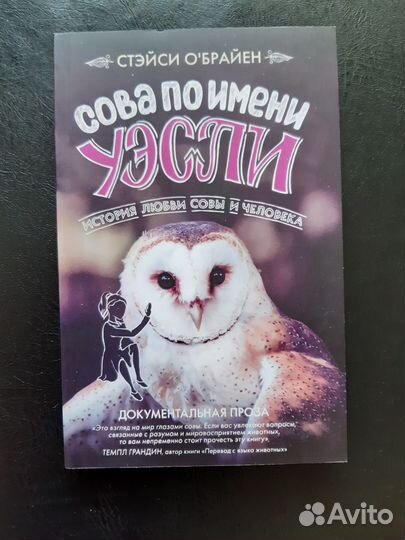 Книга Сова по имени Уэсли