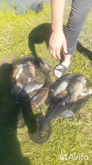 Рыбалка отдых база отдыха беседки