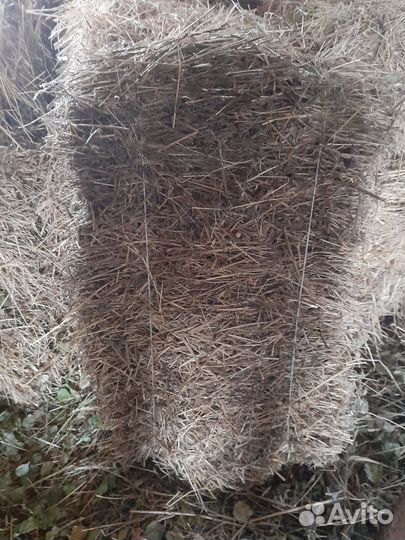 Сено люцерны в тюках