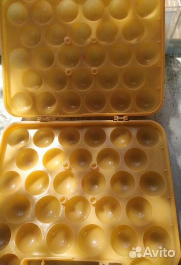 Контейнер для хранения яиц