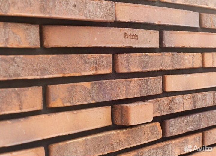 Ригель 35 сорт