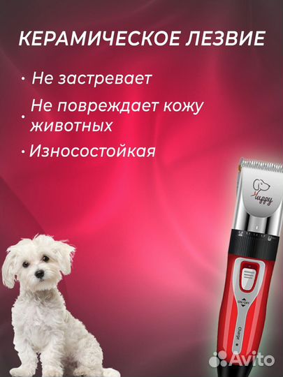 Машинка для стрижки животных, набор для стрижки