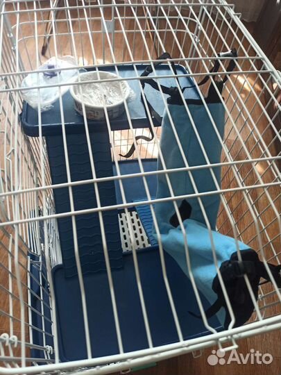 Клетка для грызунов
