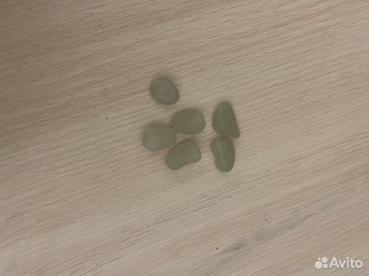 Муравьиная ферма