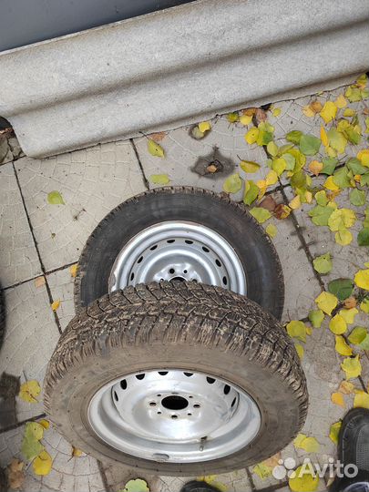 Medved Я-512 175/70 R13