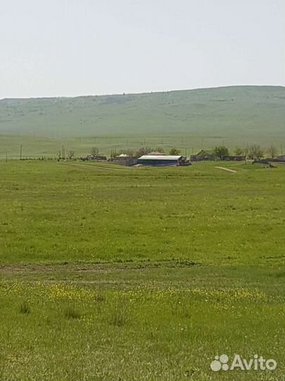 Животноводческая ферма