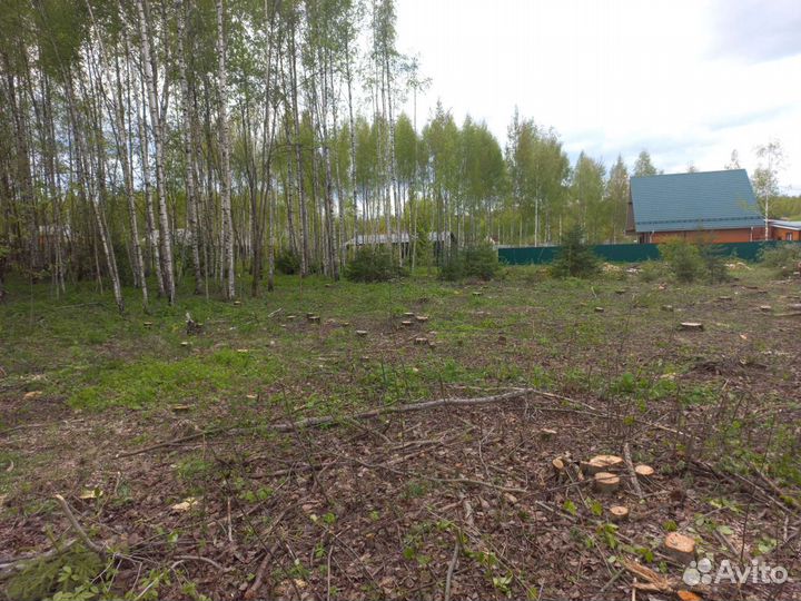 Спил деревьев, Расчистка участков