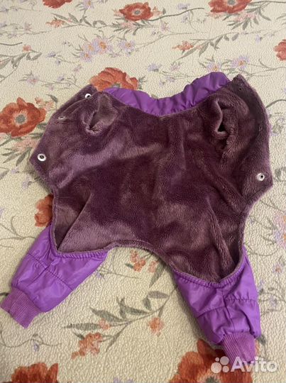 Одежда для собак