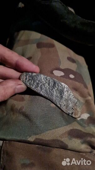 Серебряная гривна