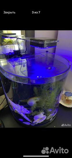 Аквариум с рыбками