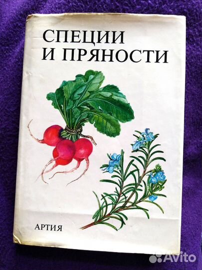 Специи и пряности
