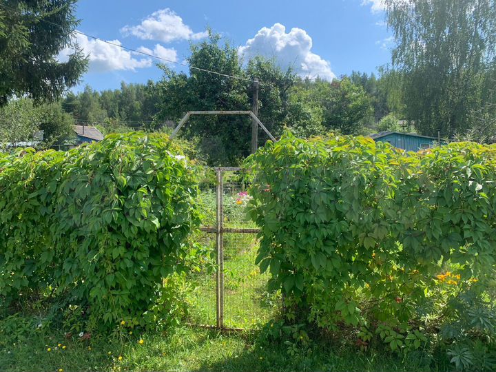 Дача 30 м² на участке 6 сот.