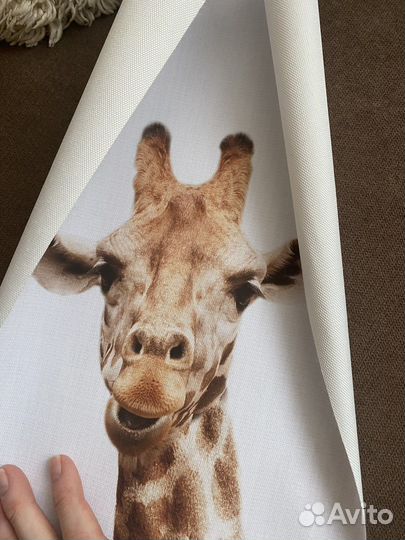 Постеры в детскую 25*36