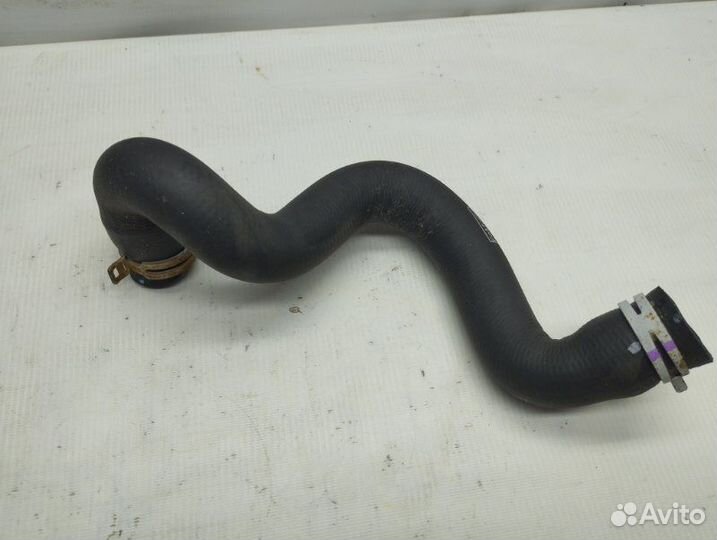 Патрубок радиатора нижний Ford Focus хэтчбек 2010