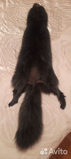 Меховой воротник (тушка песца) с лапками и хвостом