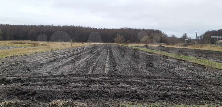 Дом 35 м² на участке 50 сот.