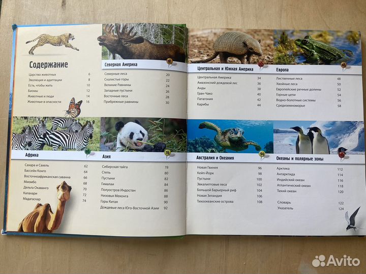 Атлас животного мира