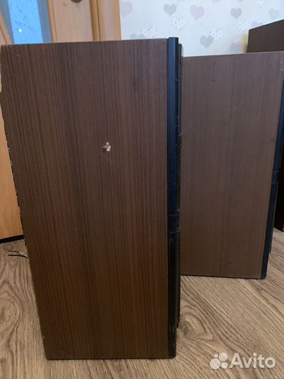 Акустическая система вега 50ас-106