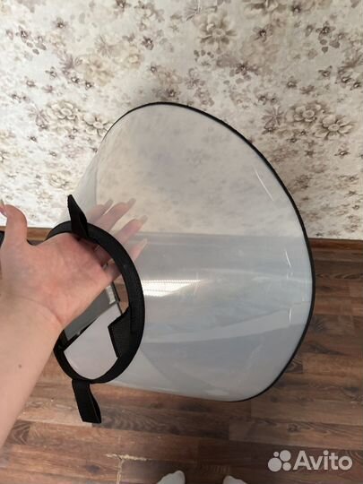 Защитный воротник для собак