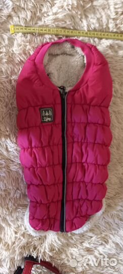 Одежда для собак