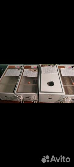 Инкубатор блиц норма луппер