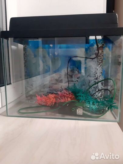 Аквариум