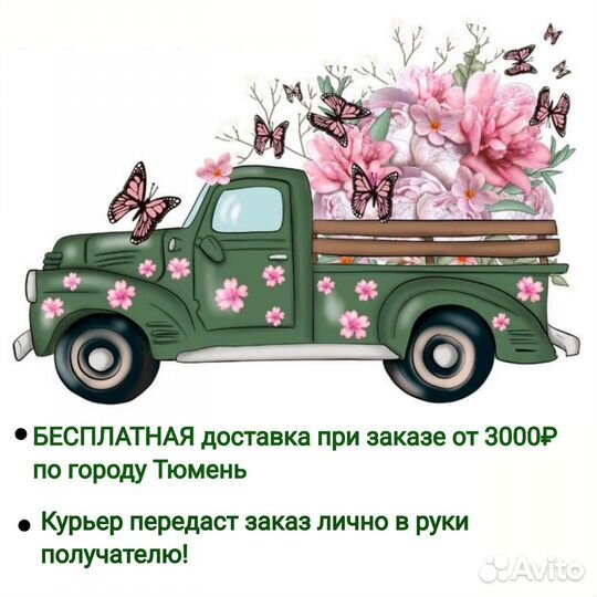 Сансевиерия Доставка растений Тюмень