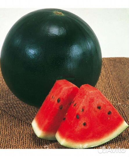 Рассада дыни и арбузов