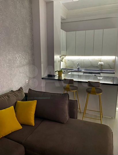 1-к. квартира, 43 м², 1/13 эт.