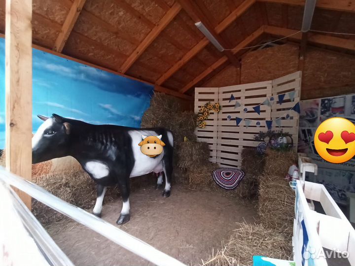 Сено в брикетах