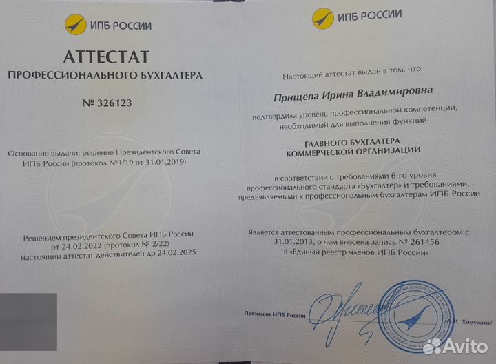 Профессиональный бухгалтер