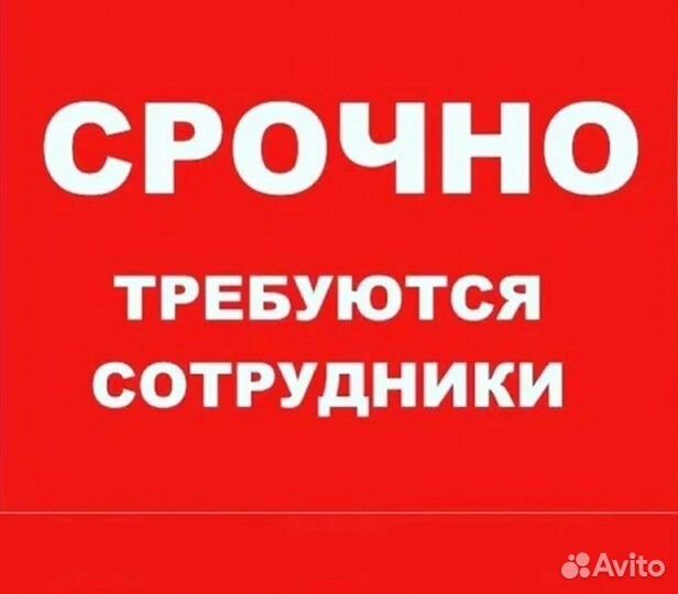 Мерчендайзер (Воронеж)