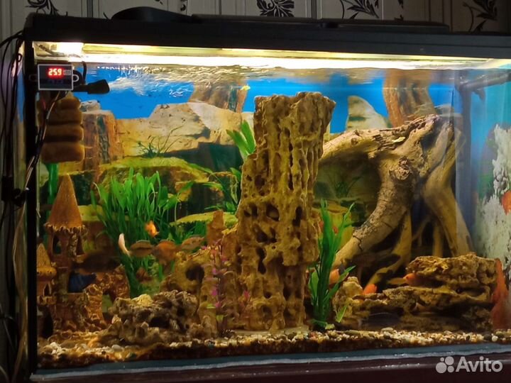 Аквариум
