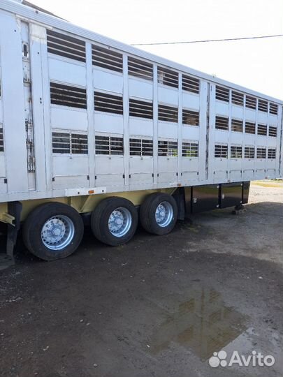 Полуприцеп для перевозки скота Балтспецмаш Скотовоз, 2009