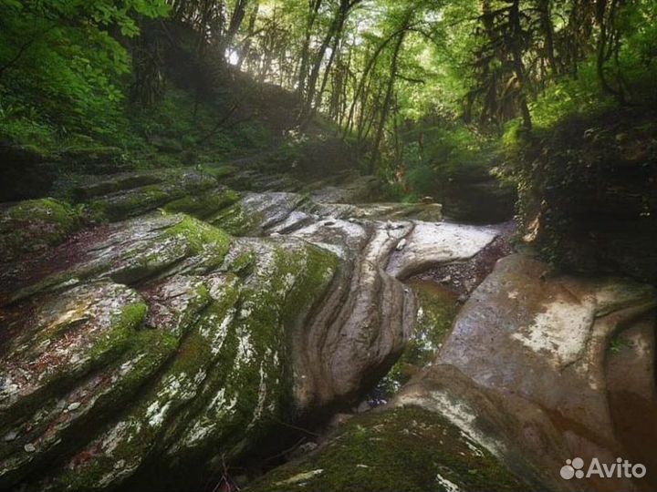 Адлер Топ-Экскурсия Ахштырское ущелье: по следам д