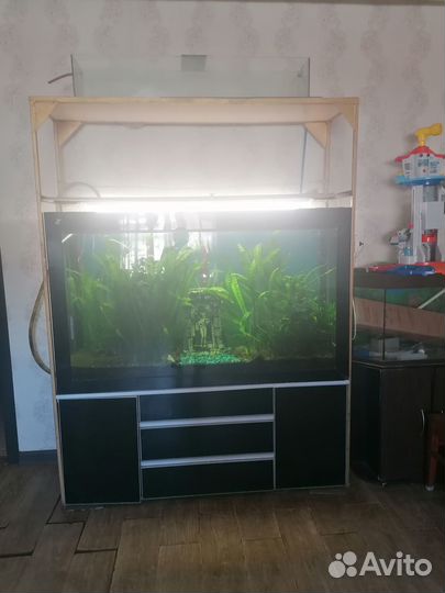 Аквариум