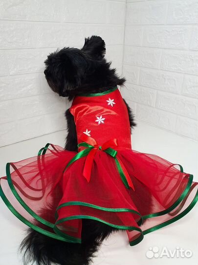 Одежда для собак