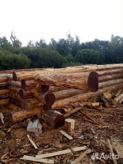 Срубы, домов и бань любых размеров