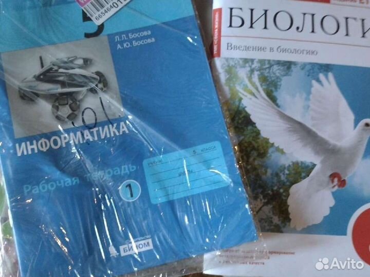 Тетради