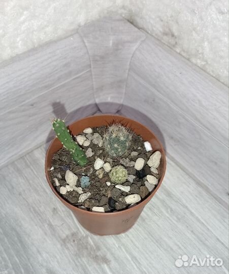 Очень мини - садик