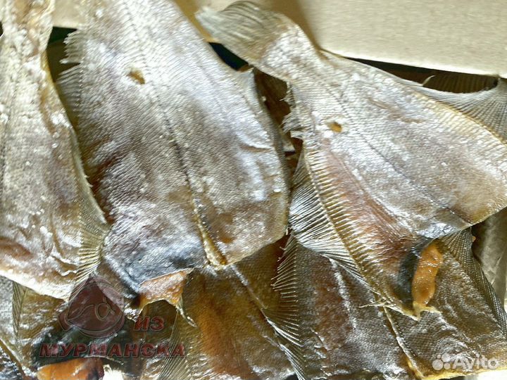 Ерш Мурманский